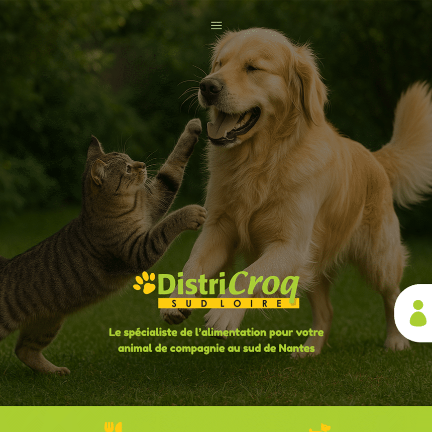 création site internet vitrine saint girons foix pamiers toulouse Ariège Haute garonne